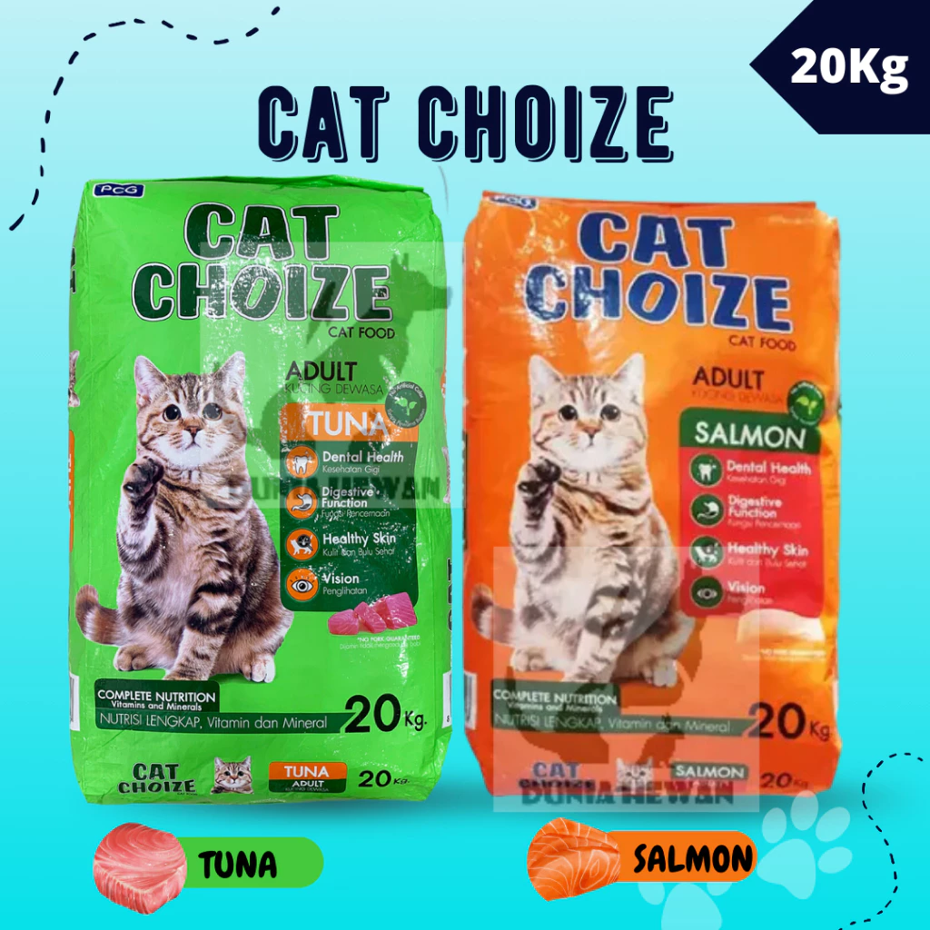 Kucing