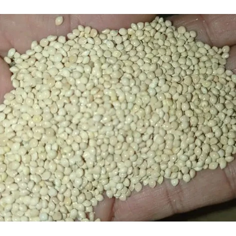 Pakan Makanan Burung MILET MILLET PUTIH White Bersih GRADE A 1Kg 1 Kg Vita Lovebird